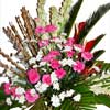 Celebrative Moments - Click here to View more details about this Product